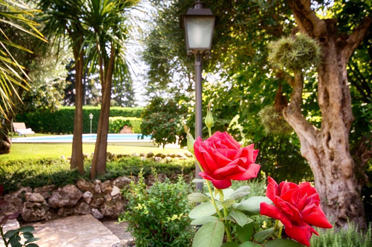 El Porxo B&B خيرونا المظهر الخارجي الصورة